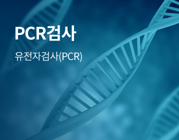 PCR검사